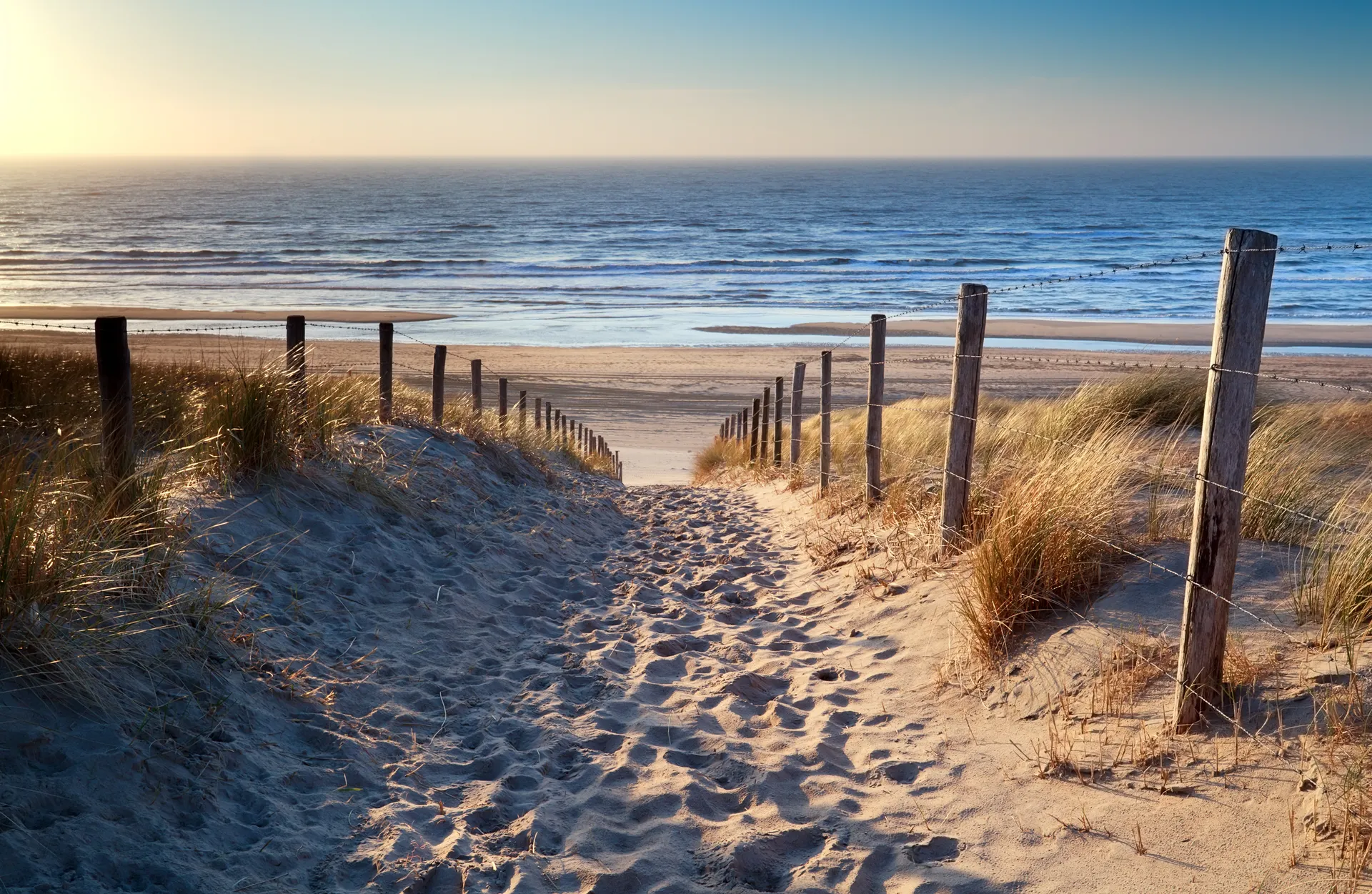 Dune path leading to the North Sea beach in Zandvoort, less than a 10-minute walk from Ocean House Zandvoort